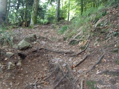 La montée se poursuit dans un dédale de roches et de racines